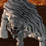 Loulan White Tiger King