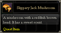 Slippery Jack Mushroom